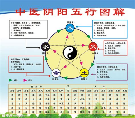 五行数字|五行与数字、颜色，及身体的对应关系